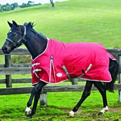 Weatherbeeta Medium Turnout Rug Comfitec Classic Standard Neck 220g Red/Silver/Navy -Reitsportbedarf Geschäft 44639265.d8f7ec