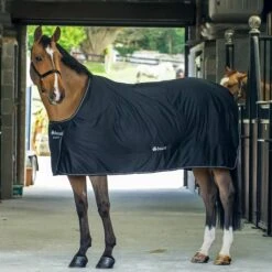 Bucas Shamrock Power Black/Silver -Reitsportbedarf Geschäft 60415 64.14723f