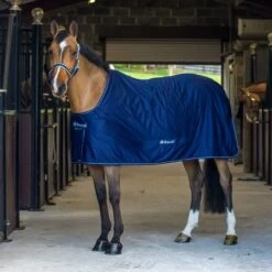 Bucas Shamrock Power Black/Silver -Reitsportbedarf Geschäft a1087410 1.0253df