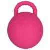 Hippotonic Horse Bal Mit Handgriff Fuchsia 25cm 1 Hippotonic Horse Bal Mit Handgriff Fuchsia 25cm -Reitsportbedarf Geschäft agradi 44517275 1.c1dd81 2