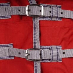 Reitsportbedarf Geschäft -Reitsportbedarf Geschäft agradi 44639262 1.dca805