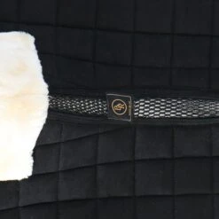 BR Schabracke Majeur 2 Vielseitigkeit Simply Taupe Full 17 BR Schabracke Majeur 2 Vielseitigkeit Simply Taupe Full -Reitsportbedarf Geschäft agradi 44703239 6.69a595