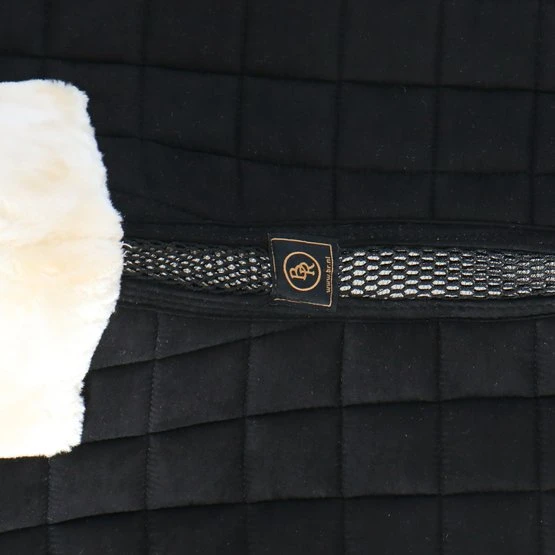 BR Schabracke Majeur 2 Vielseitigkeit Simply Taupe Full 10 BR Schabracke Majeur 2 Vielseitigkeit Simply Taupe Full – Bild 8