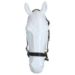 F.R.A. Gebisslose Trense Janosch Braun/Brass Metal -Reitsportbedarf Geschäft agradi 44874768 3.9a293a