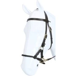 F.R.A. Gebisslose Trense Pariba Side Pull Lederen Zügel Schwarz -Reitsportbedarf Geschäft agradi 44875008 2.85fb40