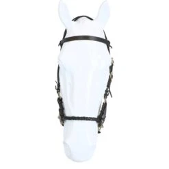 F.R.A. Gebisslose Trense Pariba Side Pull Lederen Zügel Schwarz -Reitsportbedarf Geschäft agradi 44875008 3.bc8a21