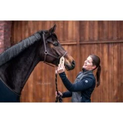 Bense & Eicke Glanzbürste GlanzElse -Reitsportbedarf Geschäft be 1630 benseundeicke staub und fellglanzburste glanzelse 2.d14dff