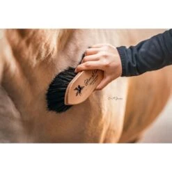 Bense & Eicke Glanzbürste GlanzElse -Reitsportbedarf Geschäft be 1630 benseundeicke staub und fellglanzburste glanzelse 5.d25fc5