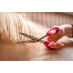 Bense & Eicke Schere SchnittBerta -Reitsportbedarf Geschäft be 1655 benseundeicke schweifschere schnittberta 1.78cc13