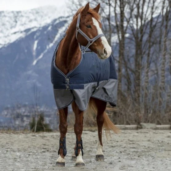 EQUITHÈME Regendecke Tyrex 600D 50g Navy/Grau Dots 4 EQUITHÈME Regendecke Tyrex 600D 50g Navy/Grau Dots – Bild 2