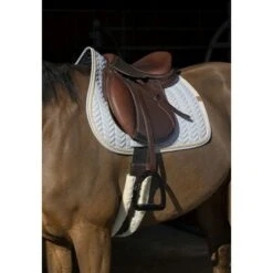 EQUITHÈME Schabracke Softy Jumping Petrol Warmblut -Reitsportbedarf Geschäft ekkia 204 763 021 ambi1.92f2ec