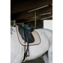 EQUITHÈME Schabracke Glossy Dressur Altrosa Warmblut -Reitsportbedarf Geschäft ekkia 204 765 005 3quart1.40ef22 4
