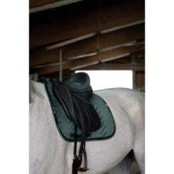 EQUITHÈME Schabracke Glossy Dressur Altrosa Warmblut -Reitsportbedarf Geschäft ekkia 204 765 009 3quart1.4da089 4