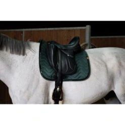EQUITHÈME Schabracke Glossy Dressur Altrosa Warmblut -Reitsportbedarf Geschäft ekkia 204 765 009 ambi1.573c18 4