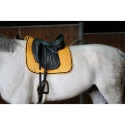 EQUITHÈME Schabracke Glossy Dressur Altrosa Warmblut -Reitsportbedarf Geschäft ekkia 204 765 010 ambi1.2512a1 4