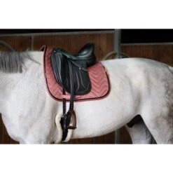 EQUITHÈME Schabracke Glossy Dressur Altrosa Warmblut -Reitsportbedarf Geschäft ekkia 204 765 013 ambi1.837364 4