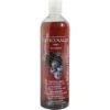 Officinalis Shampoo Blueberry 500ml