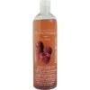 Officinalis Shampoo Rapsberry & Red Mulberry 500ml -Reitsportbedarf Geschäft ekkia 709 004.02dc99