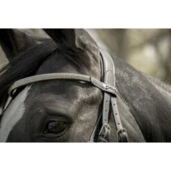 PÉNÉLOPE Penelope Zaum Harmonie Havanna -Reitsportbedarf Geschäft ekkia penelope harmonie hoofdstel 6.92b82a