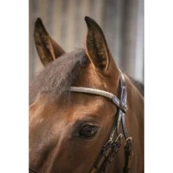 PÉNÉLOPE Penelope Zaum Harmonie Havanna -Reitsportbedarf Geschäft ekkia penelope harmonie hoofdstel 9.9688d0