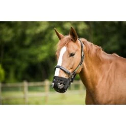 Norton Grasmaske Nylon Schwarz Warmblut