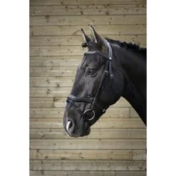 Norton Trense Pro Découpé Havanna -Reitsportbedarf Geschäft ekkia z05830 301 828 302.10b3ad