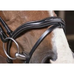 Norton Trense Pro Découpé Havanna -Reitsportbedarf Geschäft ekkia z05830 301 828 302 ambi1 det1.887ff7