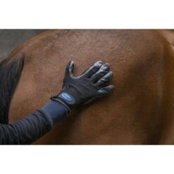 Hippotonic Putzhandschuh Schwarz -Reitsportbedarf Geschäft ekkia z06690 700 162 002 ambi1.9f8e5a