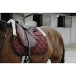 EQUITHÈME Schabracke Pro Air Vielseitig Grau Warmblut -Reitsportbedarf Geschäft ekkia z08298 204 922 033 ambi1.bd1bf3