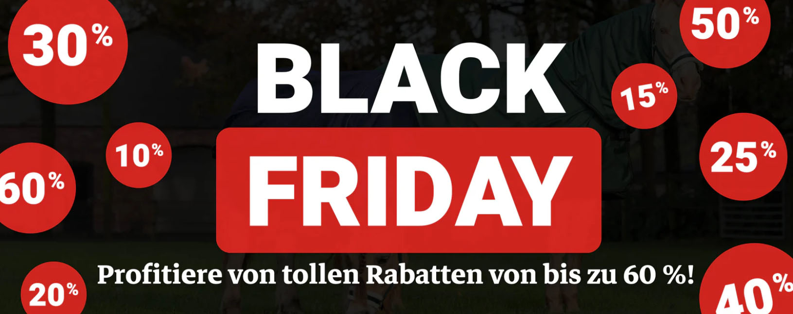 Reitsportbedarf Geschäft -Reitsportbedarf Geschäft fgjfgj