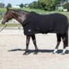 Harry's Horse Fleecedecke Mit Aufrollbarem Hals Schwarz -Reitsportbedarf Geschäft harry 32200063 zwart.1f405b