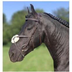 HB Showtime Trense Mexico Schwarz -Reitsportbedarf Geschäft hb 384 bruin 1.a76c49