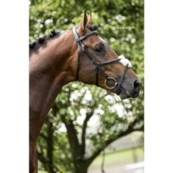 HB Showtime Trense Mexico Schwarz