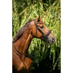 HB Showtime Kandarenzaum Special For You Braun/Golden Glitter -Reitsportbedarf Geschäft hb 395 bruin.df849d