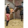 HKM Kuscheltier Pferd Ice Cream Orange -Reitsportbedarf Geschäft hkm 14441 420013447 910014224 302014235 9100 1.c162e7