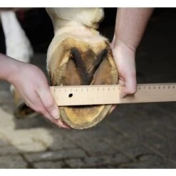 HKM Hufschuh Schwarz -Reitsportbedarf Geschäft hkm 7955 meten.719e50