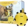 Maximus Ball Fun Play Gelb 1 Maximus Ball Fun Play Gelb -Reitsportbedarf Geschäft hof 277112.b3d318 4