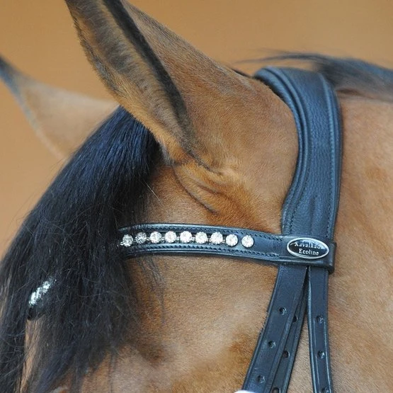 Kavalkade Trense Diana Englisch Braun 12 Kavalkade Trense Diana Englisch Braun – Bild 10