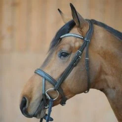 Kavalkade Trense Diana Englisch Braun 20 Kavalkade Trense Diana Englisch Braun -Reitsportbedarf Geschäft kavalkade1 19034 06.157305