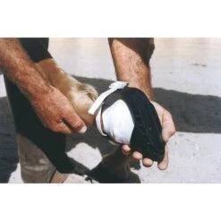 Kerbl Shoof-Pferdeschuh Schwarz -Reitsportbedarf Geschäft ke 32601.99694d