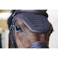 Kentucky Horsewear Kentucky Ohrnetz Wellington Leder Dunkelblau Pony -Reitsportbedarf Geschäft ken 42612 05 1.551d05