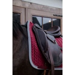 Kentucky Horsewear Kentucky Dressur Satteldecke Classic Konstrast Bordeaux Warmblut -Reitsportbedarf Geschäft kentucky 485a6733.d2fcdc 1