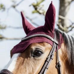 Kentucky Horsewear Kentucky Ohrnetz Wellington Dark Navy -Reitsportbedarf Geschäft kentucky 485a6841 564c22e810080218547dfa1c1093aa08 article photobook l.229014