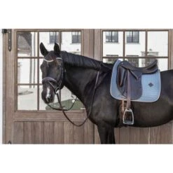 Kentucky Horsewear Kentucky Dressur Satteldecke Classic Leder Orange Warmblut -Reitsportbedarf Geschäft kentucky 485a7781.fd42b6