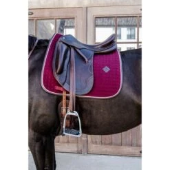 Kentucky Horsewear Kentucky Dressur Satteldecke Classic Leder Orange Warmblut -Reitsportbedarf Geschäft kentucky 485a7920.99fa84