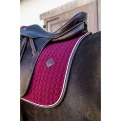 Kentucky Horsewear Kentucky Dressur Satteldecke Classic Leder Dusty Blue Warmblut -Reitsportbedarf Geschäft kentucky 485a7924.c261d1 1