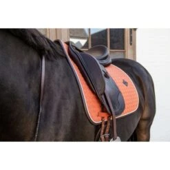 Kentucky Horsewear Kentucky Dressur Satteldecke Classic Leder Orange Warmblut -Reitsportbedarf Geschäft kentucky 485a7973.5c9777