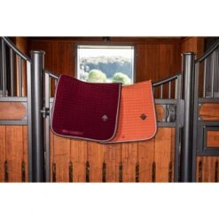 Kentucky Horsewear Kentucky Dressur Satteldecke Classic Leder Orange Warmblut -Reitsportbedarf Geschäft kentucky 485a7981.eed8d6