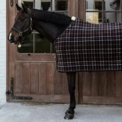 Kentucky Horsewear Kentucky Abschwitzdecke Heavy Grau -Reitsportbedarf Geschäft kentucky 63bcf22613449 2437c2701c064368dd1ee4a9fe1272e36b6a0f85 485a0648.66554e