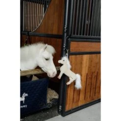 Kentucky Horsewear Kentucky Relax Horse Toy Sammy 11 Kentucky Horsewear Kentucky Relax Horse Toy Sammy -Reitsportbedarf Geschäft kentucky 657a212415979 e1a4831fb98289bf2b91a286f1fd80d5fe14801a 82155 32 101.937b75
